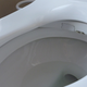 Illustration for article titled How Much Money Would You Spend on a Toilet Seat?